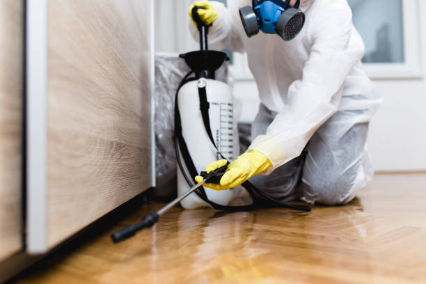 Best Emergency Pest Control  in Bryant, AR