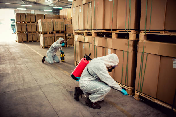 Pest Prevention Services in Bryant, AR