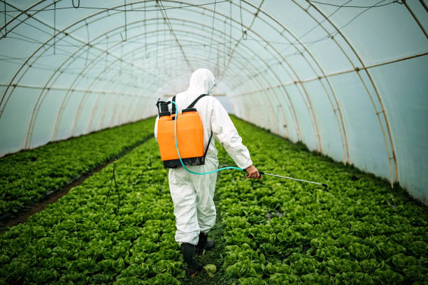 Best Pest Prevention Services  in Bryant, AR