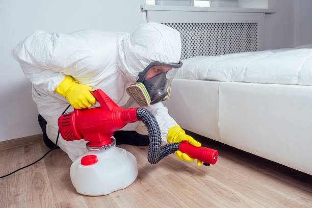 Best Pest Removal Services  in Bryant, AR