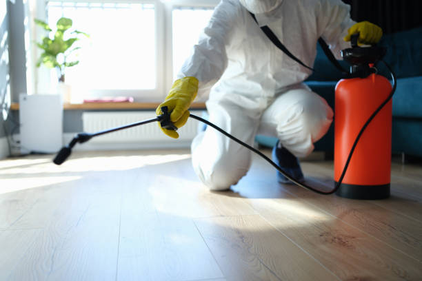 Flea Control Services in Bryant, AR