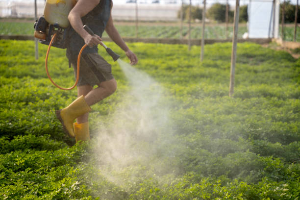 Best Wildlife Control Services  in Bryant, AR