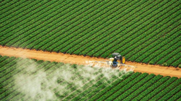Trusted Bryant, AR Pest Control Experts