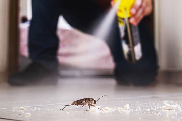 Best Affordable Pest Control Services  in Bryant, AR