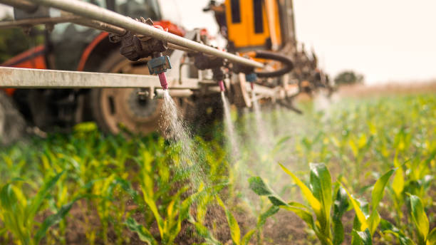 Best Ant Control Services  in Bryant, AR