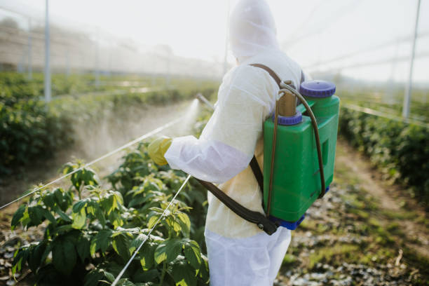 Best Residential Pest Control  in Bryant, AR